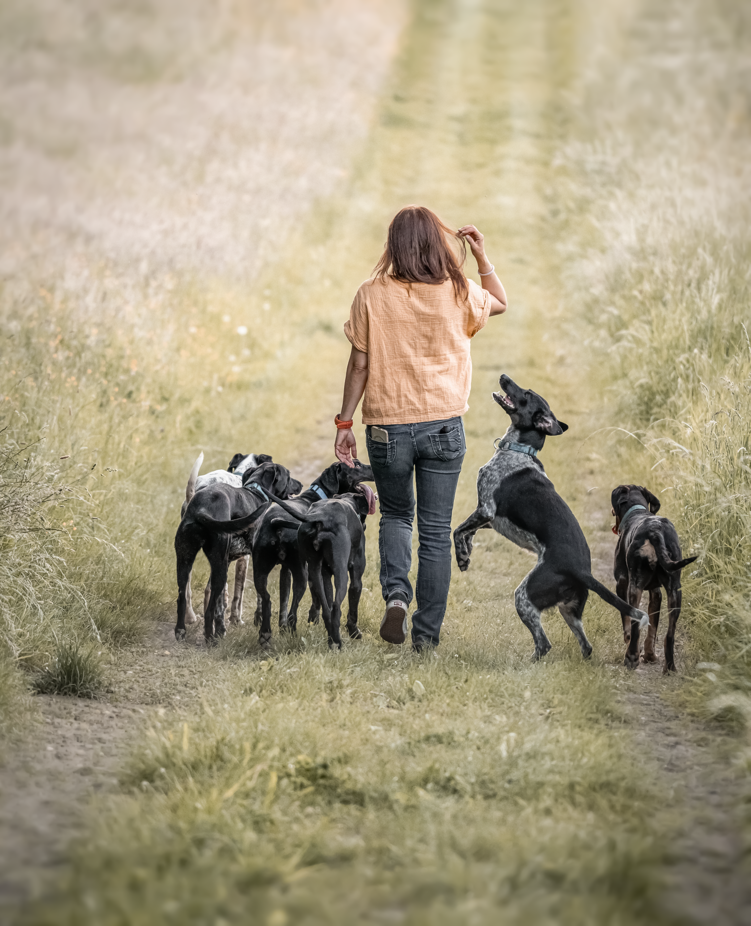 Person beobachtet Gruppe von Reitern auf Feldweg durch grüne Landschaft.